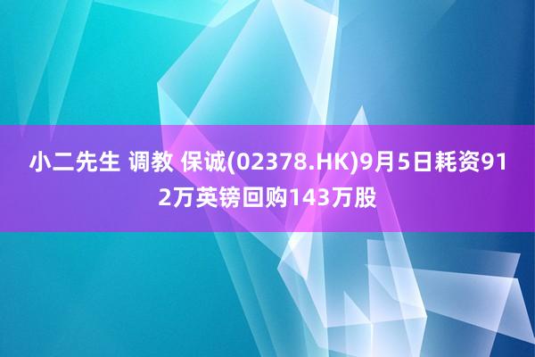 小二先生 调教 保诚(02378.HK)9月5日耗资912万英镑回购143万股