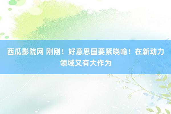 西瓜影院网 刚刚！好意思国要紧晓喻！在新动力领域又有大作为