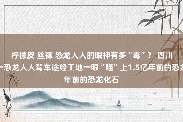 柠檬皮 丝袜 恐龙人人的眼神有多“毒”？ 四川自贡一恐龙人人驾车途经工地一眼“瞄”上1.5亿年前的恐龙化石