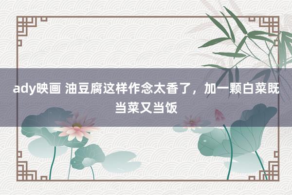 ady映画 油豆腐这样作念太香了，加一颗白菜既当菜又当饭