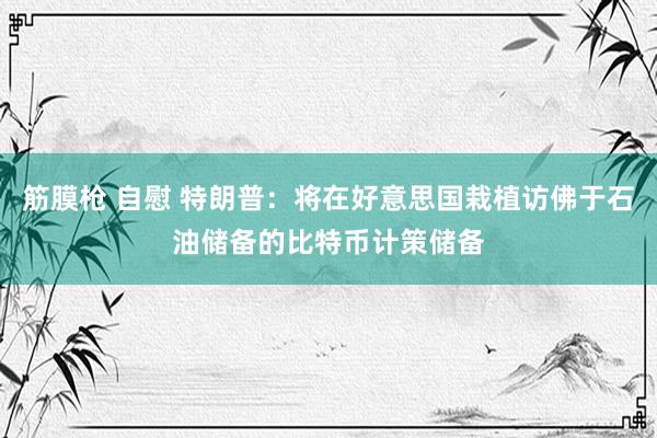 筋膜枪 自慰 特朗普：将在好意思国栽植访佛于石油储备的比特币计策储备