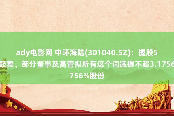 ady电影网 中环海陆(301040.SZ)：握股5%以上鼓舞、部分董事及高管拟所有这个词减握不超3.1756%股份