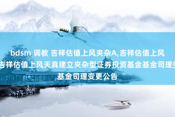 bdsm 调教 吉祥估值上风夹杂A,吉祥估值上风夹杂C: 吉祥估值上风天真建立夹杂型证券投资基金基金司理变更公告