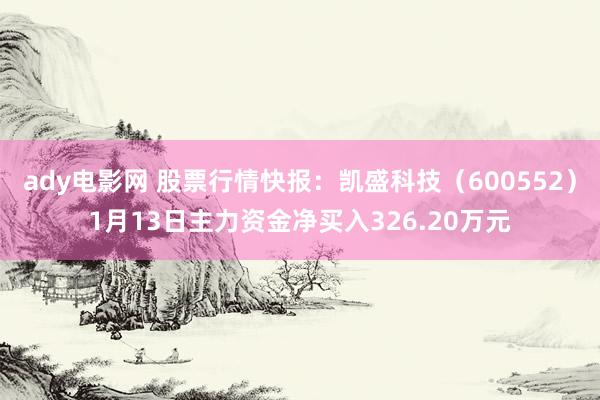 ady电影网 股票行情快报：凯盛科技（600552）1月13日主力资金净买入326.20万元