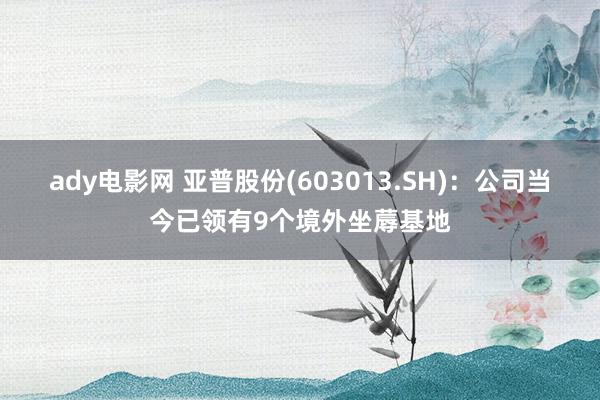 ady电影网 亚普股份(603013.SH)：公司当今已领有9个境外坐蓐基地