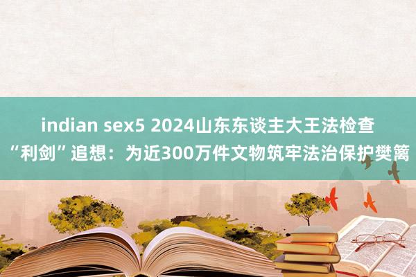 indian sex5 2024山东东谈主大王法检查“利剑”追想：为近300万件文物筑牢法治保护樊篱