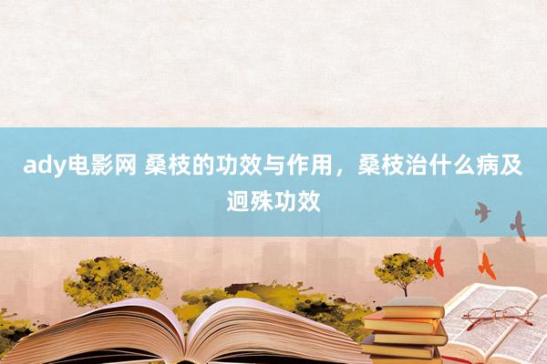 ady电影网 桑枝的功效与作用，桑枝治什么病及迥殊功效