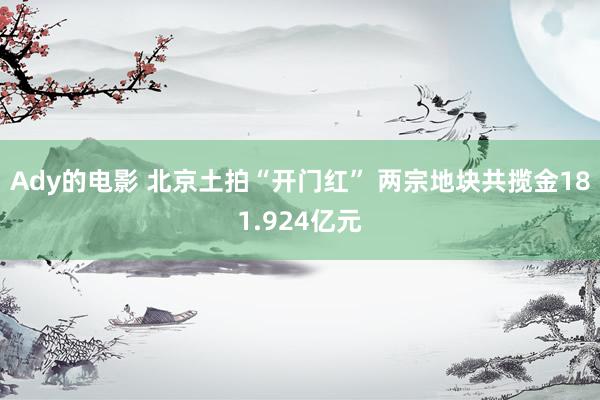 Ady的电影 北京土拍“开门红” 两宗地块共揽金181.924亿元