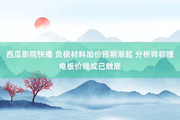 西瓜影院快播 负极材料加价预期渐起 分析师称锂电板价钱或已触底