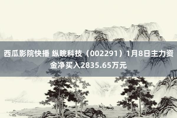 西瓜影院快播 纵眺科技（002291）1月8日主力资金净买入2835.65万元