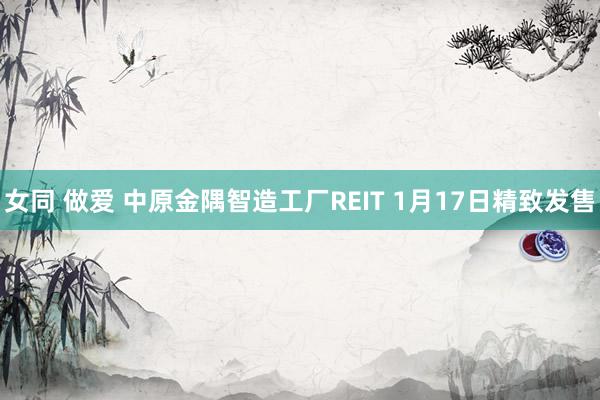 女同 做爱 中原金隅智造工厂REIT 1月17日精致发售