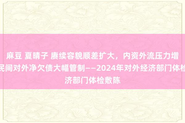 麻豆 夏晴子 赓续容貌顺差扩大，内资外流压力增多，民间对外净欠债大幅管制——2024年对外经济部门体检敷陈
