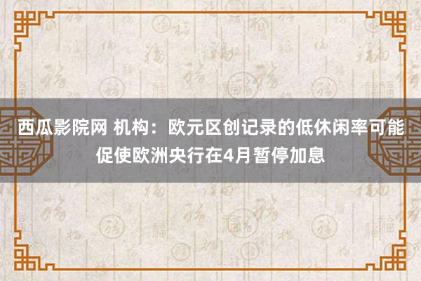 西瓜影院网 机构：欧元区创记录的低休闲率可能促使欧洲央行在4月暂停加息