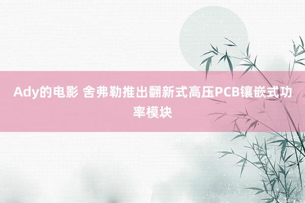 Ady的电影 舍弗勒推出翻新式高压PCB镶嵌式功率模块